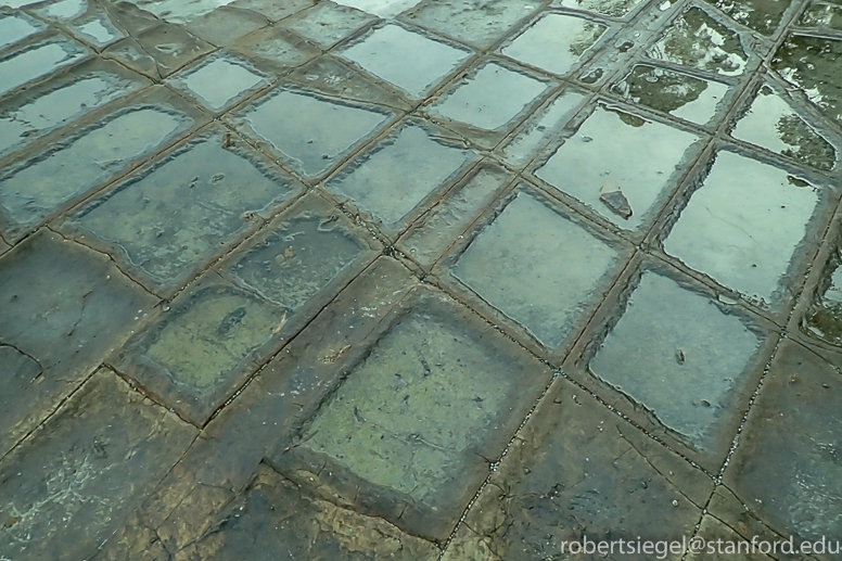 tessellated pavements
